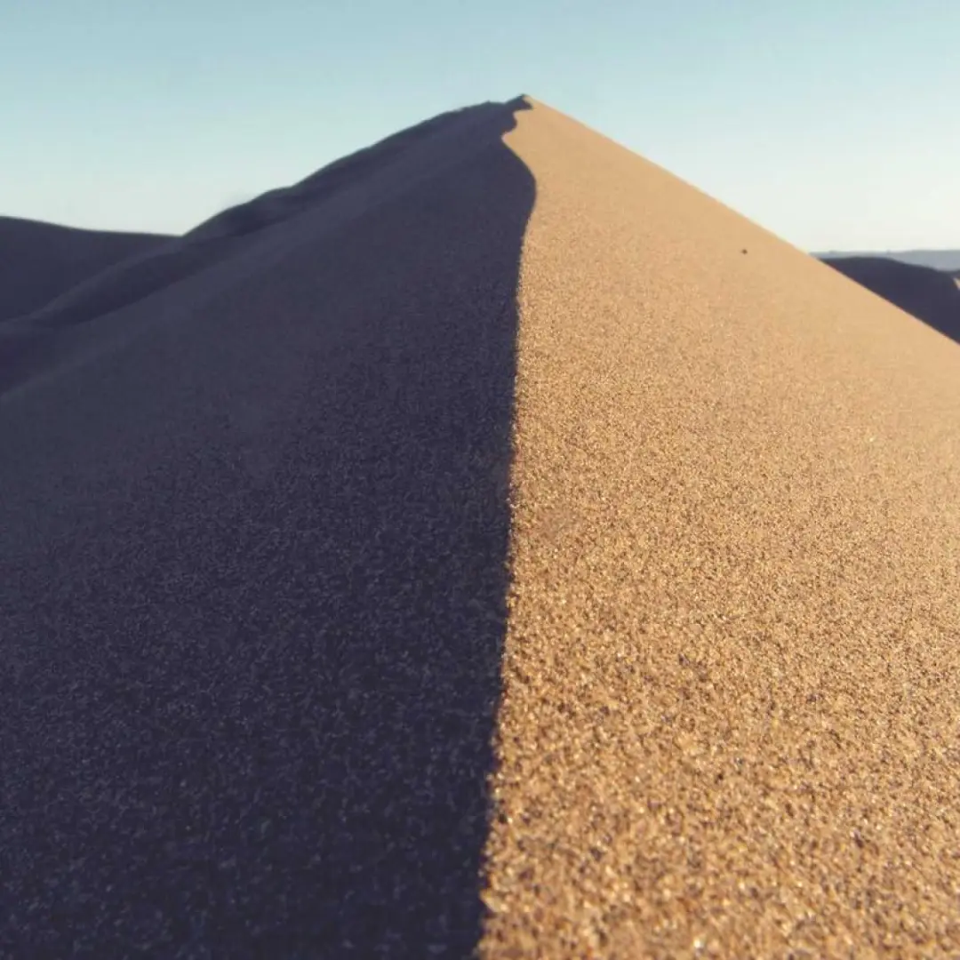 Slim Fit Oxford Shirt