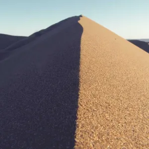 Slim Fit Oxford Shirt