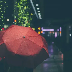 Slim Fit Oxford Shirt - Image 3