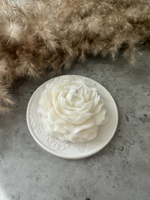 Set Pivonka - Image 2