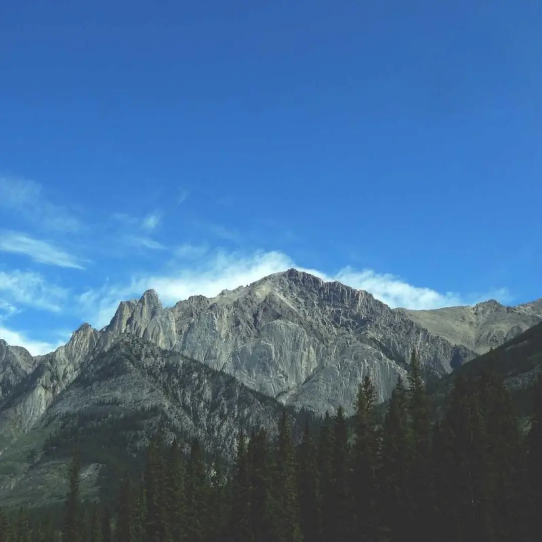 Rainbow Stripe T-Shirt