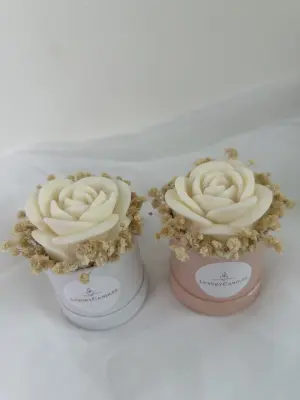 Flowerbox Sweet Rose