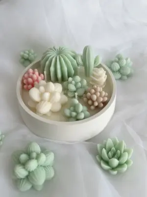 Kaktusová zahrada - Image 3