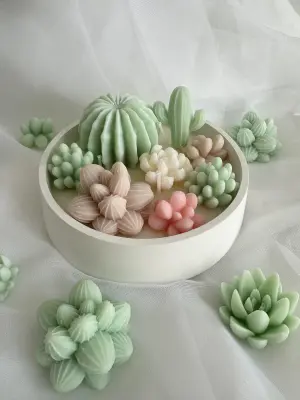 Kaktusová zahrada - Image 4