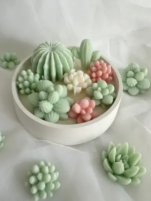 Kaktusová zahrada - Image 5