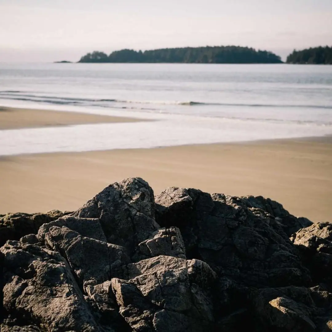 Adjustable Dumbbell Set