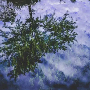 Dell XPS 15 - Image 2