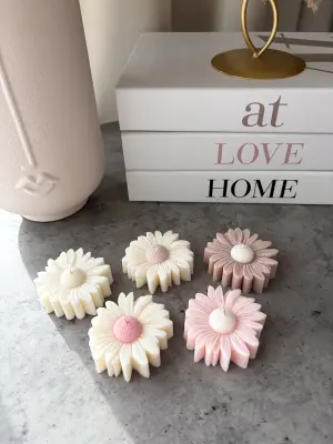 Květinka Daisy - Image 2