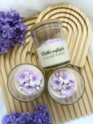 Borůvkový sen - Image 2