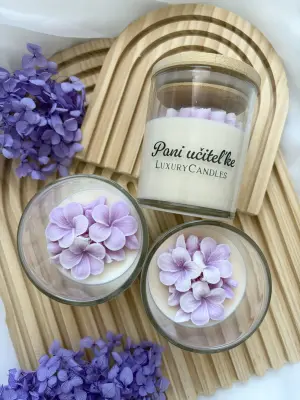 Borůvkový sen - Image 3