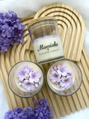 Borůvkový sen - Image 4