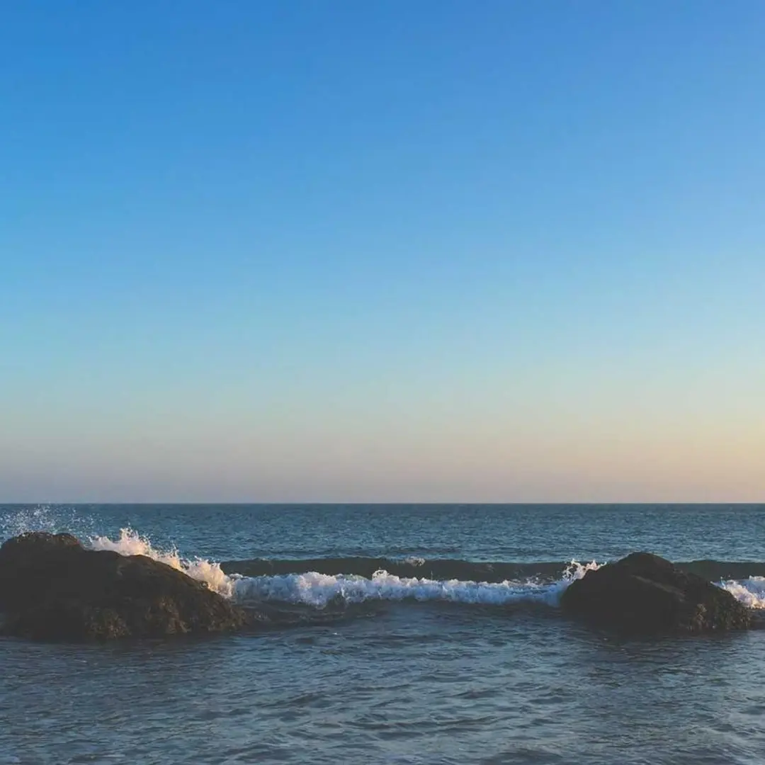 Wireless Bluetooth Headphones