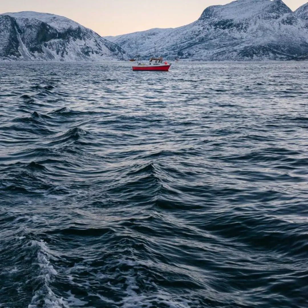 asperiores voluptatem Subscription