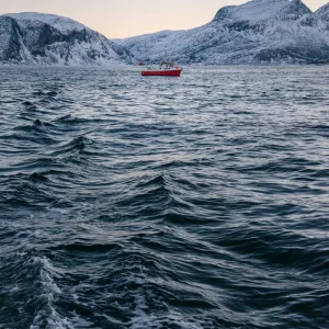 asperiores voluptatem Subscription